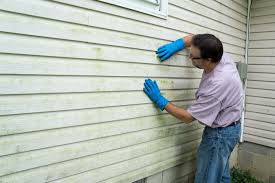 Best Siding Painting and Refinishing  in , AZ